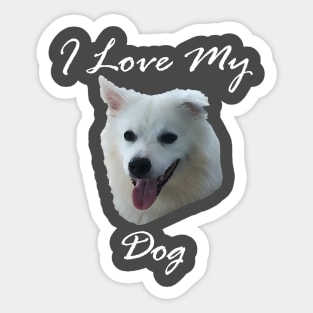 I love my dog ( American Eskimo Dog - Spitz) Sticker